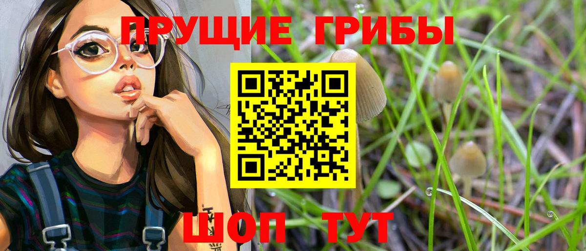 как найти   Вход с VPN  Михайловка  Псилоцибиновые грибы MAGIC MUSHROOMS 